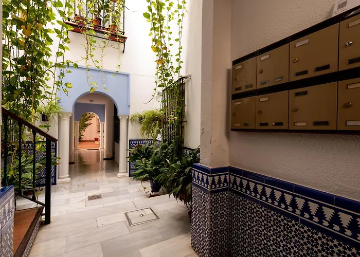 Rc Centro Historico Catedraljuderia Seville